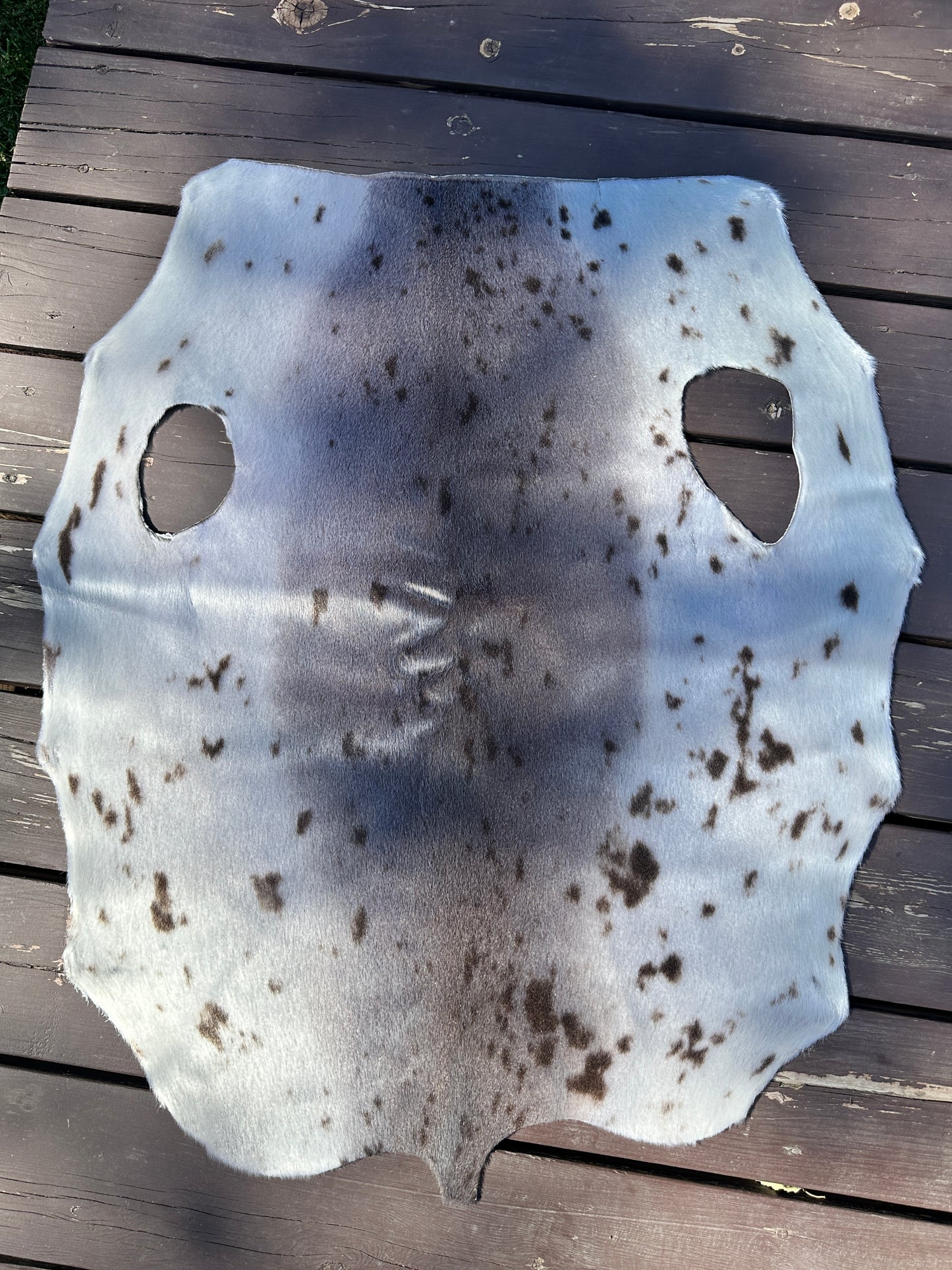 Seal skin pelt (must read description)