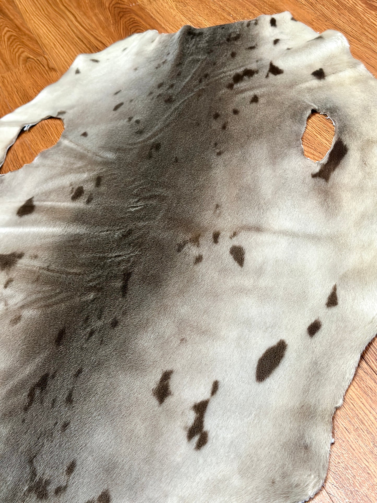 Seal skin pelt (must read description)