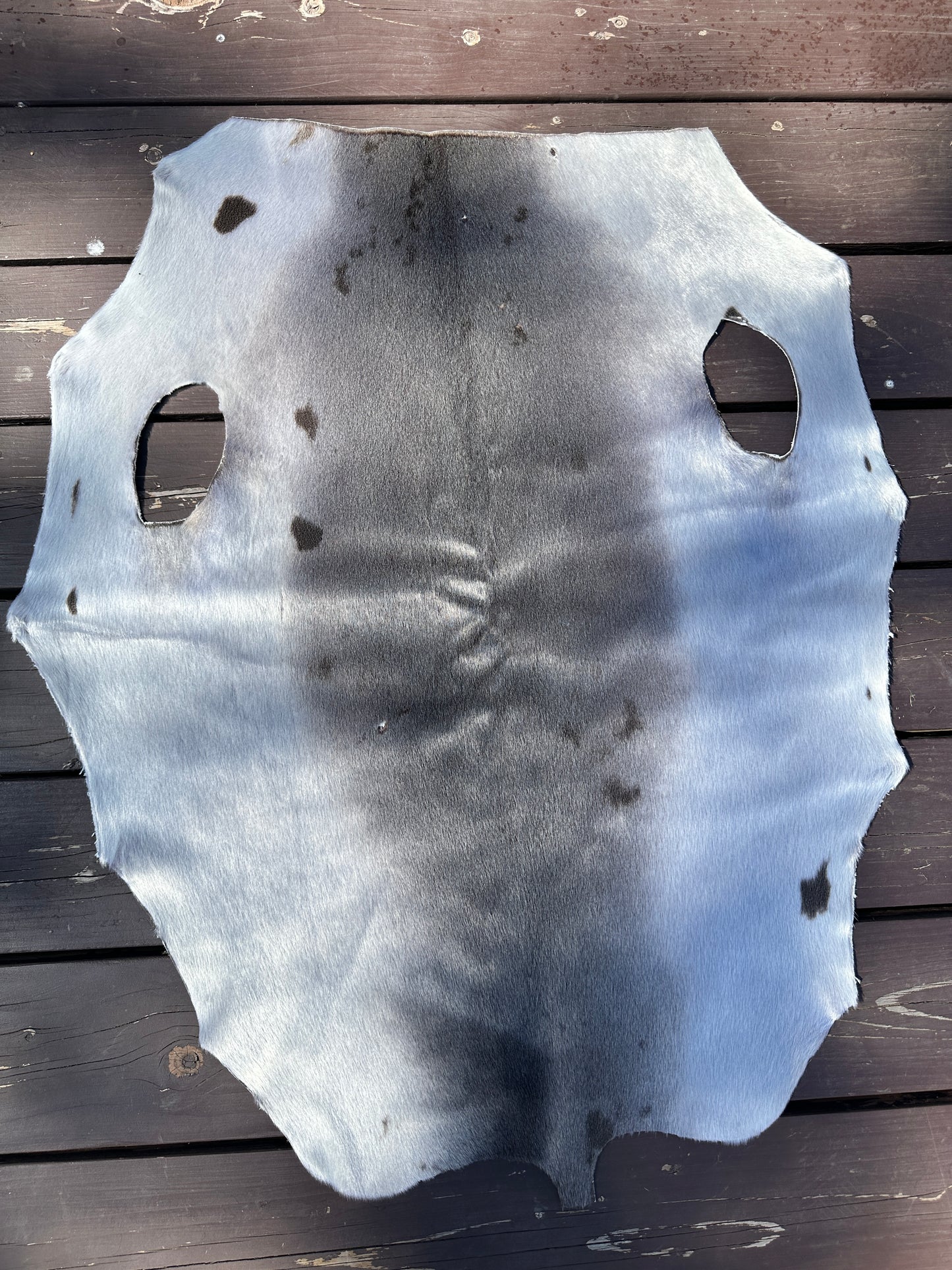 Seal skin pelt (must read description)
