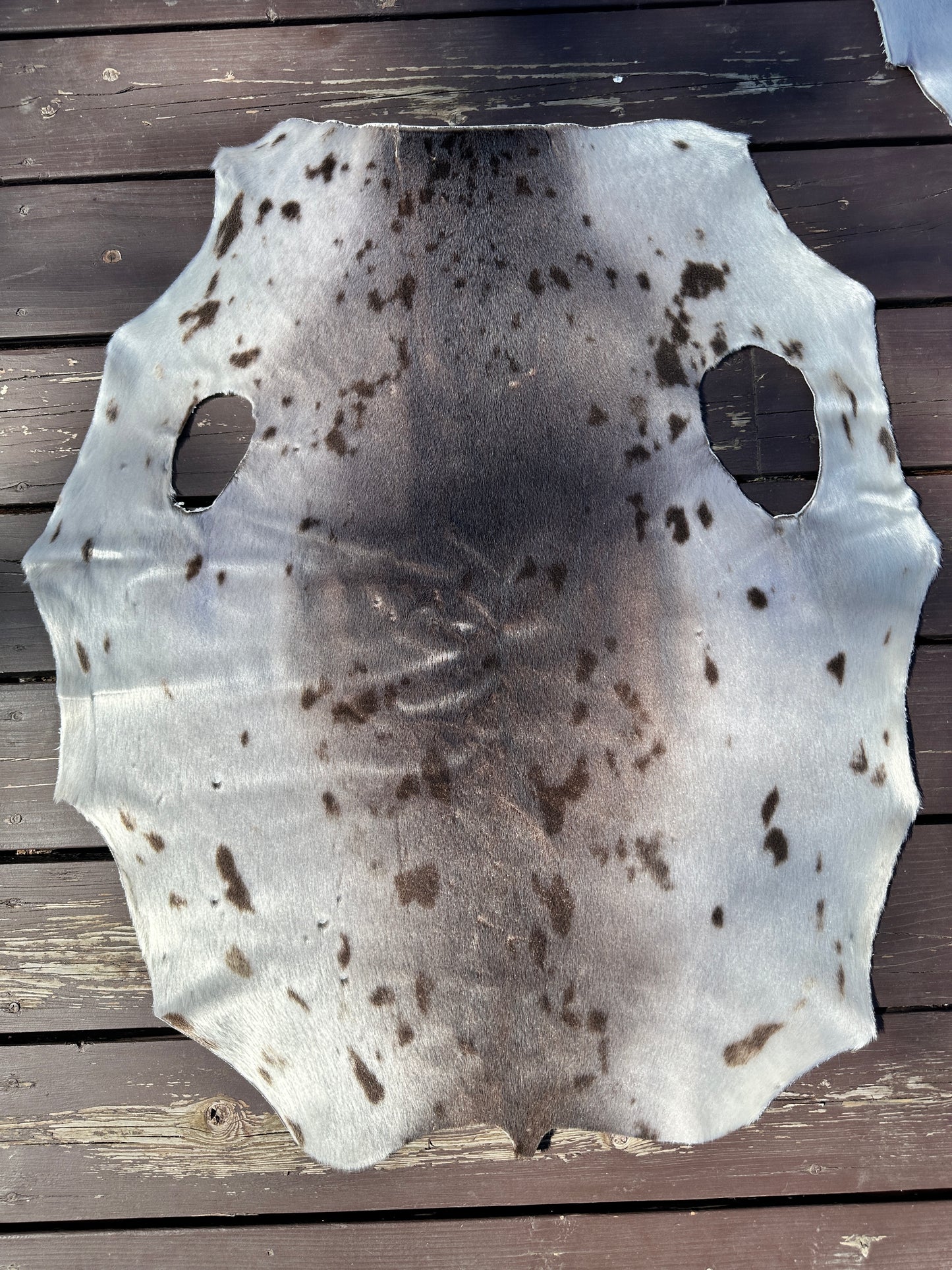 Seal skin pelt (must read description)