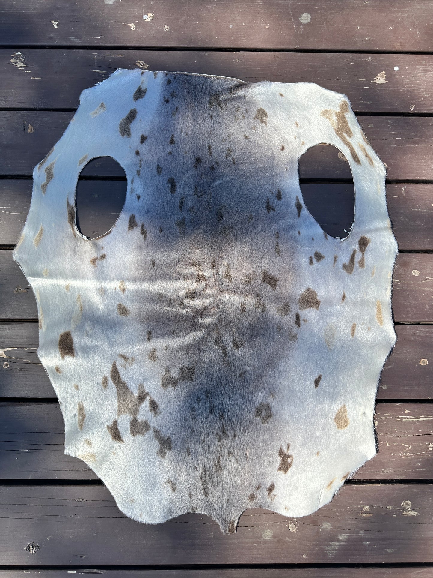 Seal skin pelt (must read description)