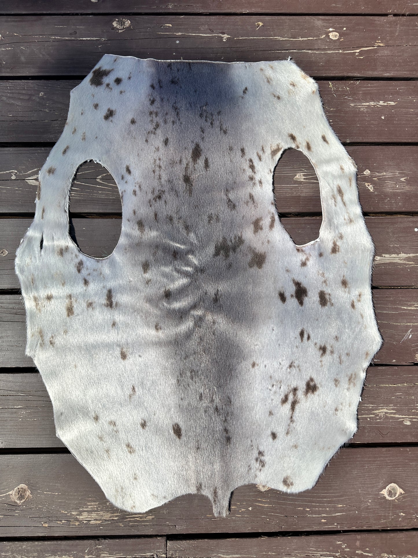 Seal skin pelt (must read description)